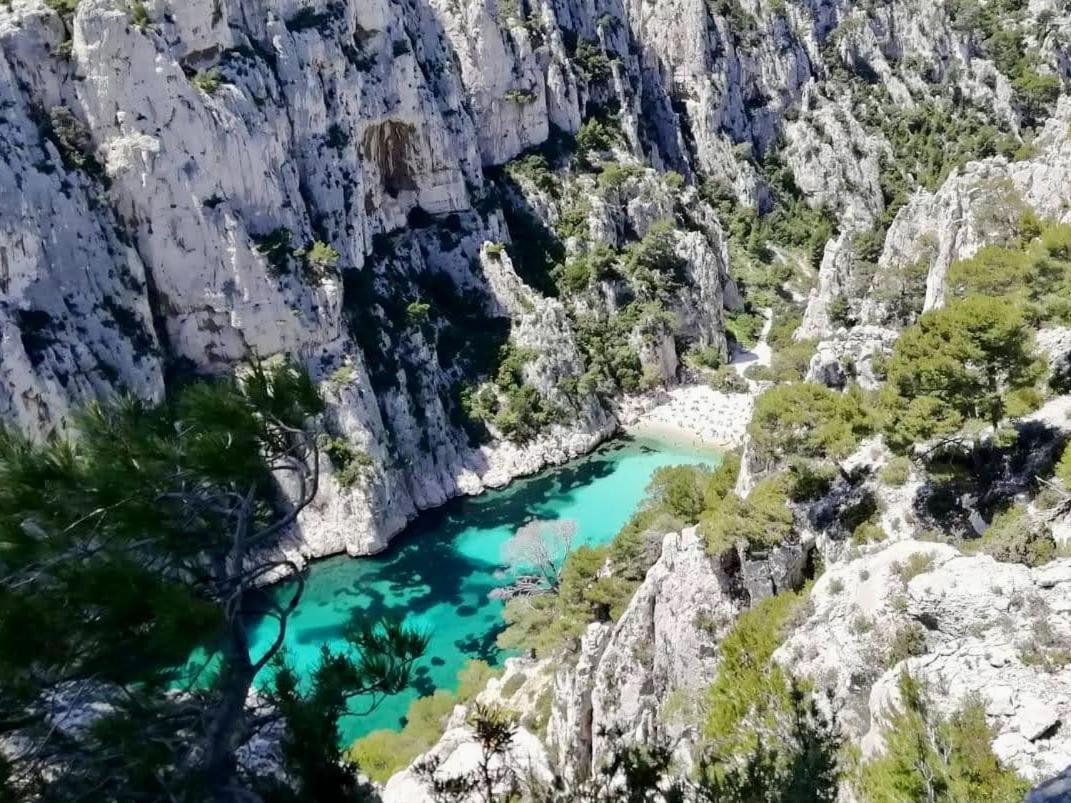Vue Mer Le Panoramique Vieux-Port De Marsilya Dış mekan fotoğraf